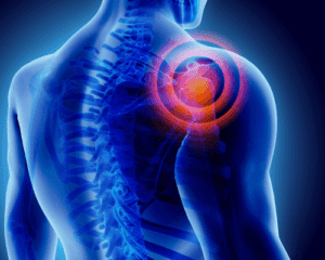 shoulder