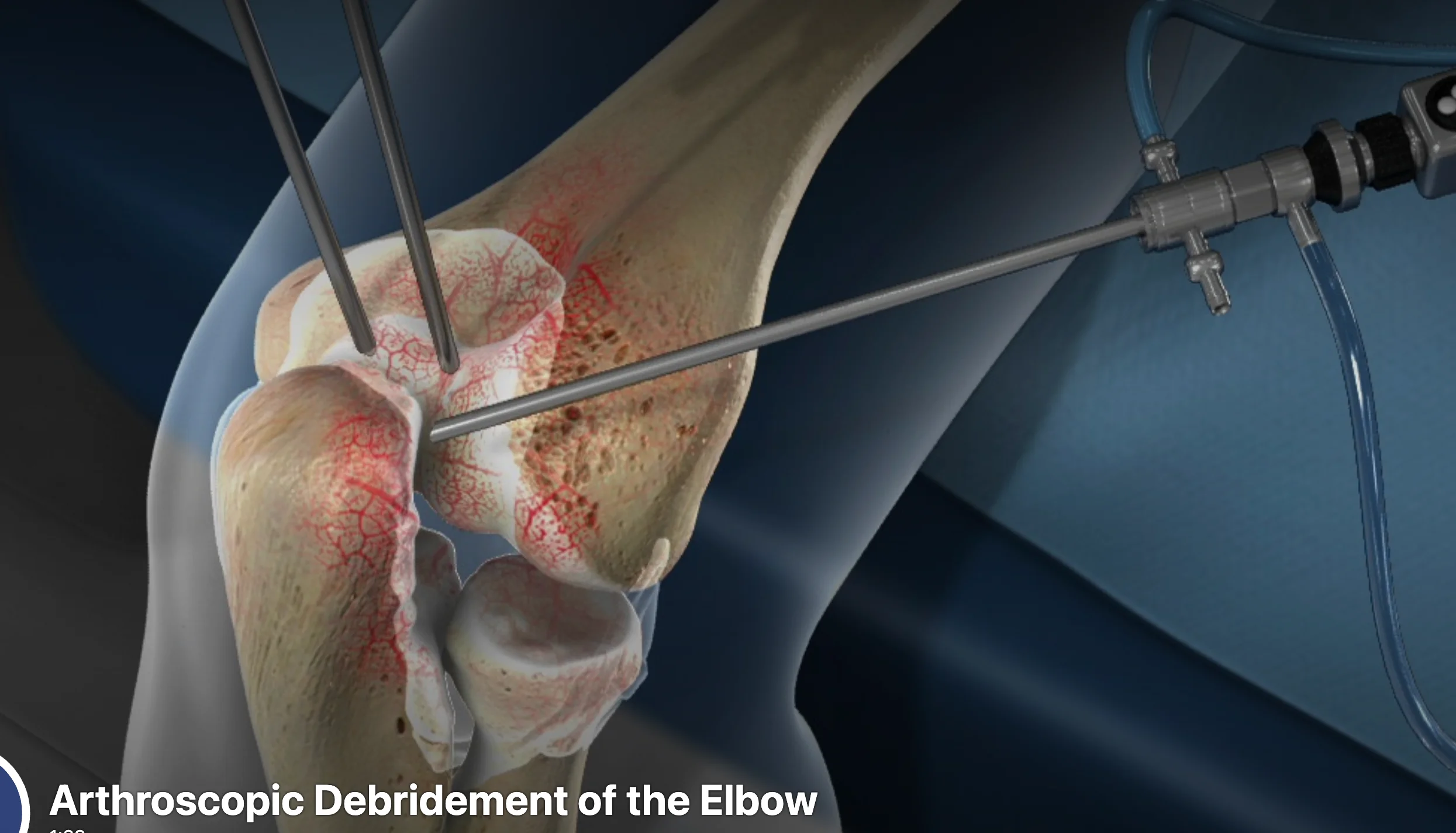 Screenshot 2025 12 03 at 4.43.38 AM