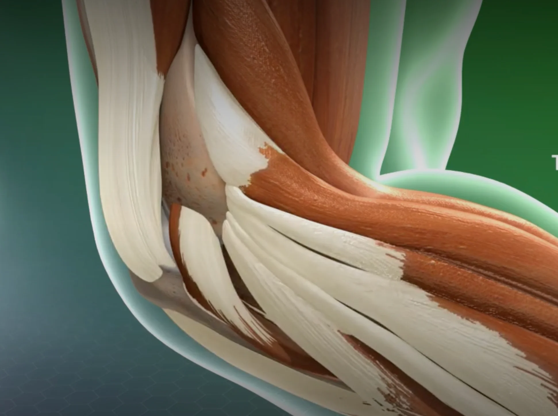 Screenshot 2025 12 03 at 4.47.55 AM