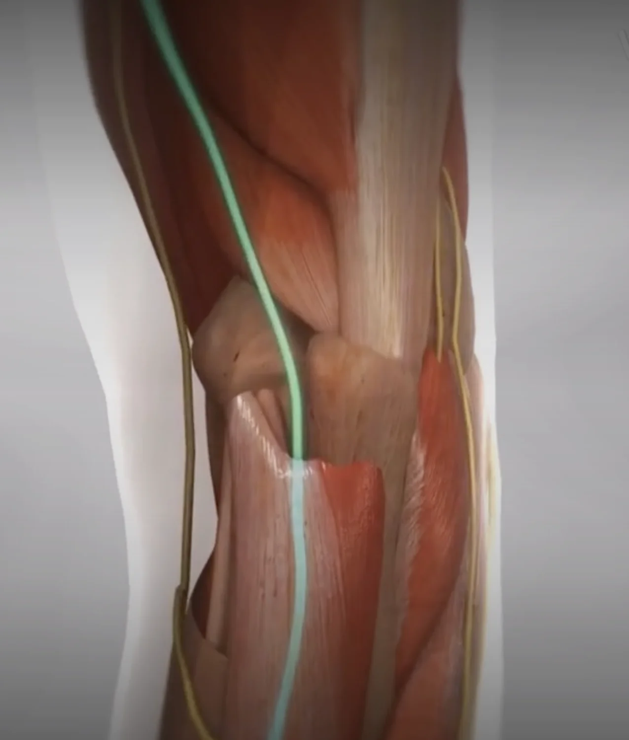 Screenshot 2025 12 03 at 4.56.44 AM