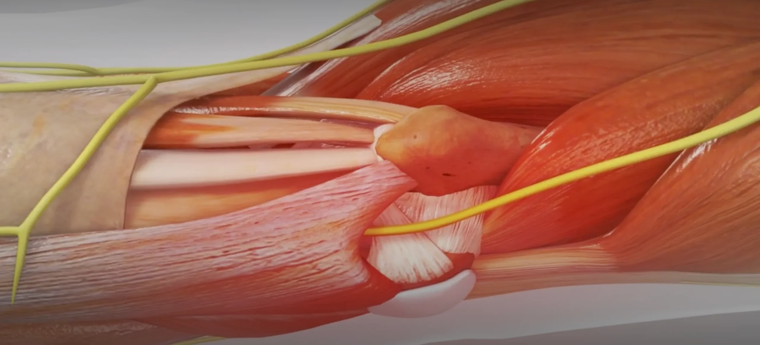 Screenshot 2025 12 03 at 4.57.41 AM scaled