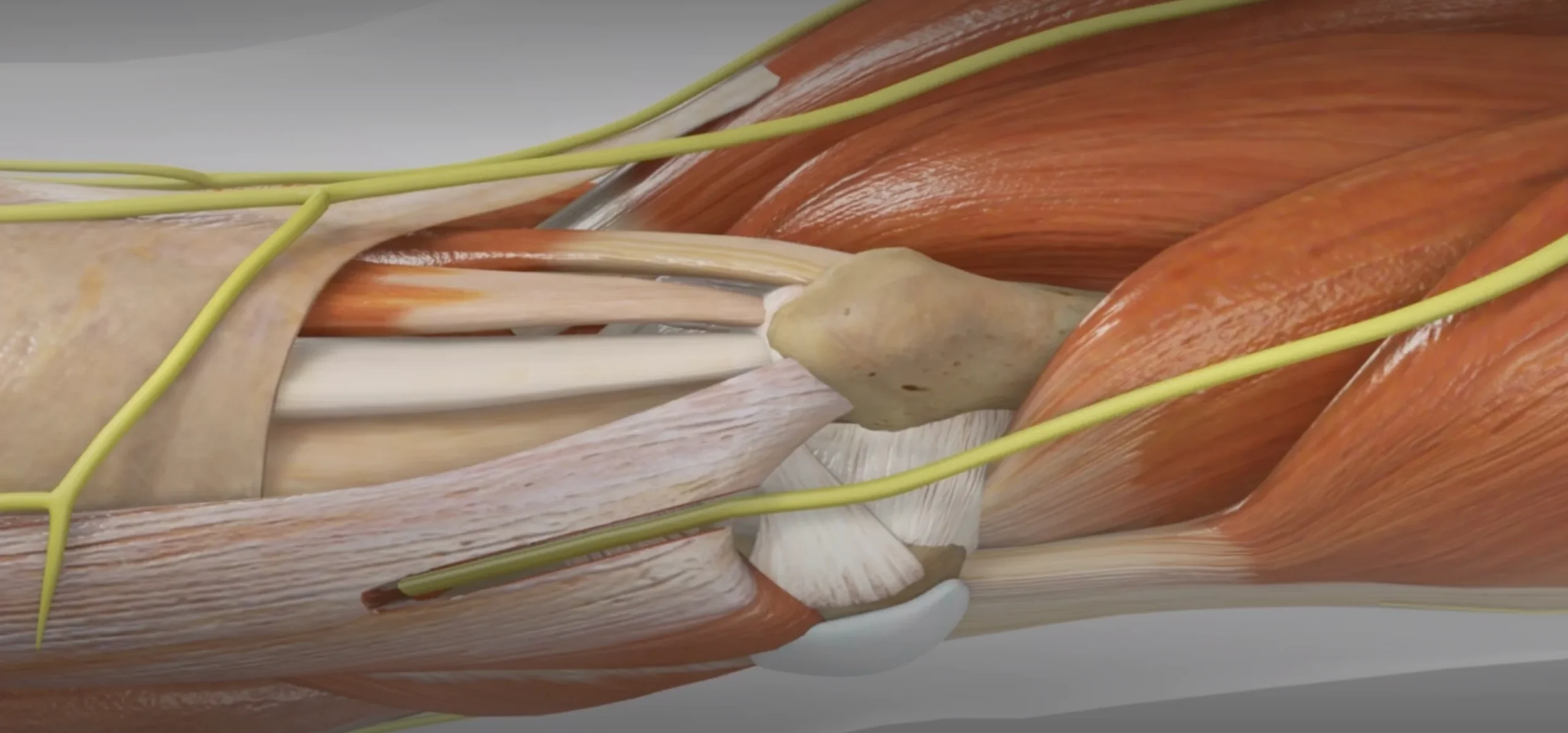 Screenshot 2025 12 03 at 4.58.14 AM scaled