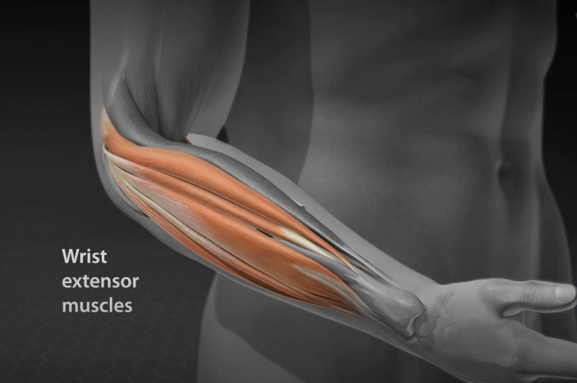 Screenshot 2025 12 03 at 5.11.50 AM