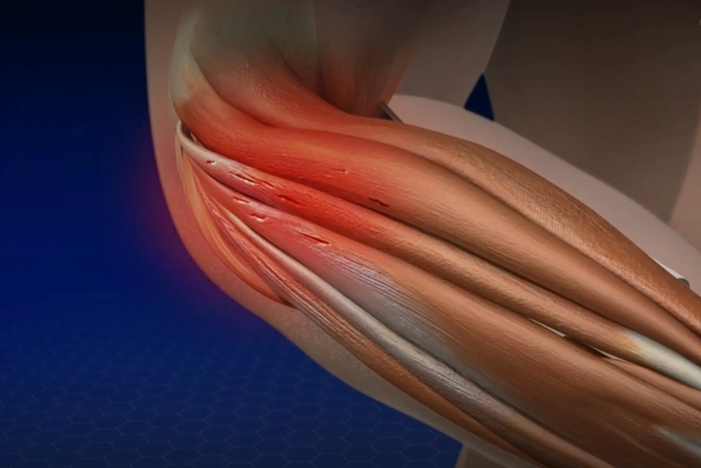 Screenshot 2025 12 03 at 5.12.50 AM