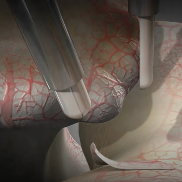 Screenshot 2025-12-03 at 4.42.48 AM